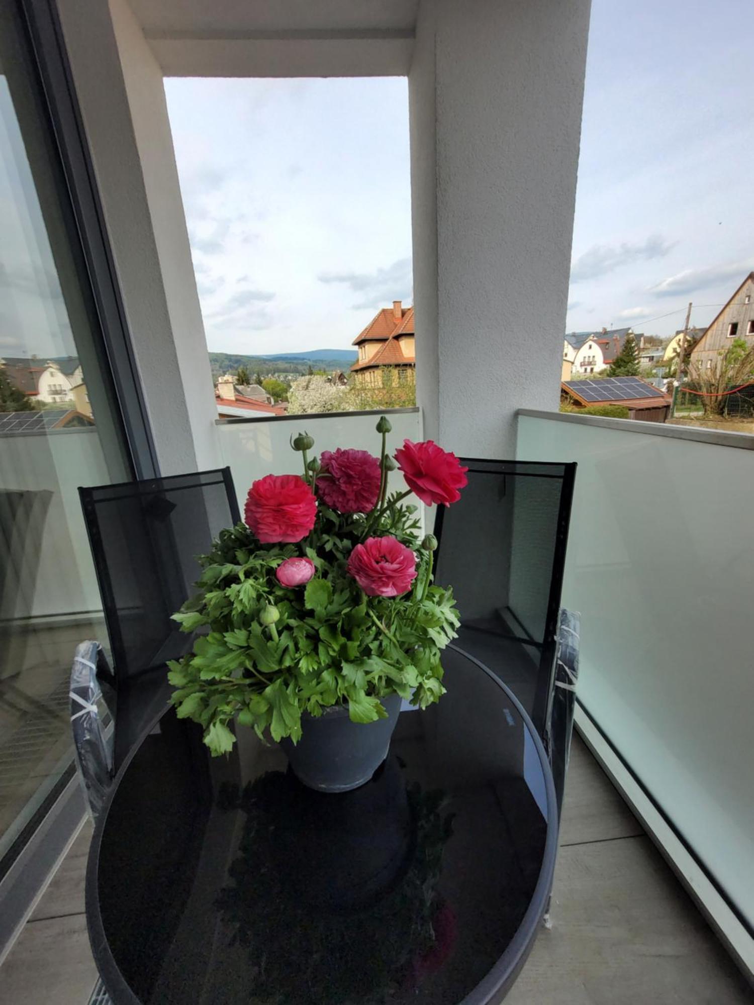 Apartman Bohemika Deluxe Vrchlabí Eksteriør billede
